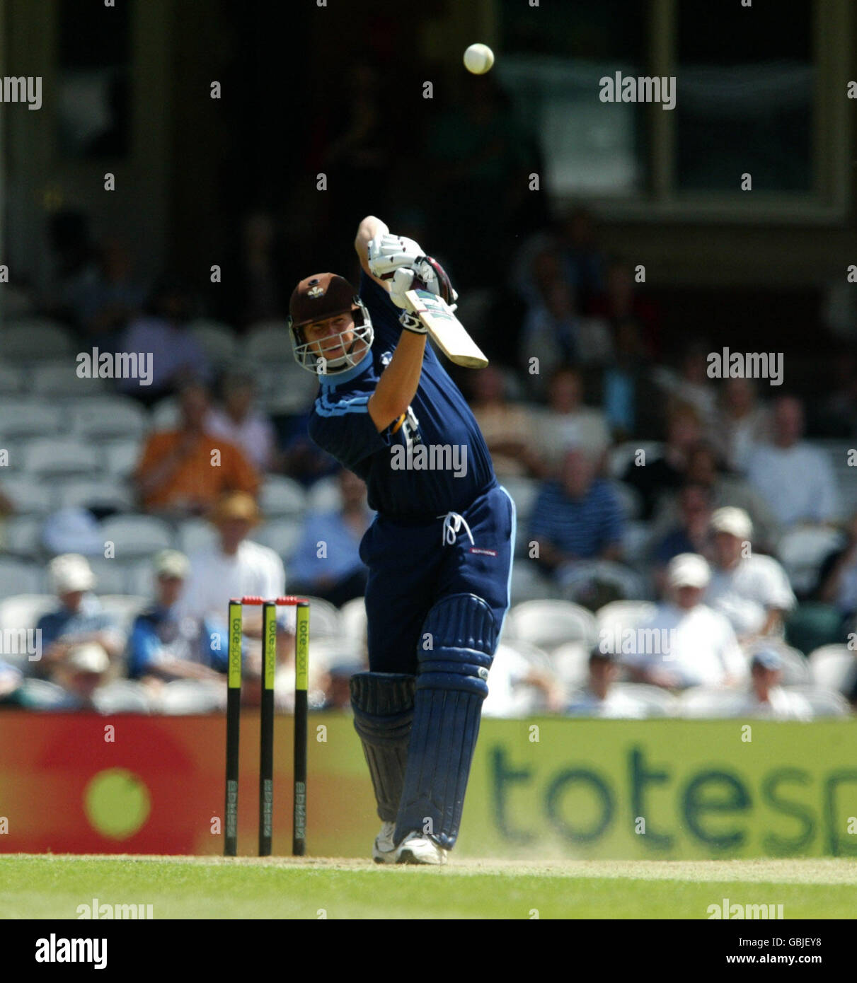 Cricket - Totesport National Cricket League - Division One - Surrey Lions v Kent Spitfires Foto Stock