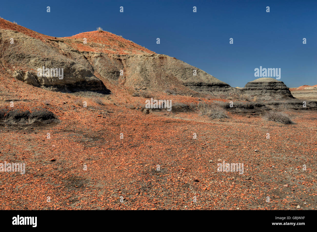 Red cocci cucciolata a collina nel badlands del Bisti/De-Na-Zin deserto del nord-ovest del Nuovo Messico. Foto Stock