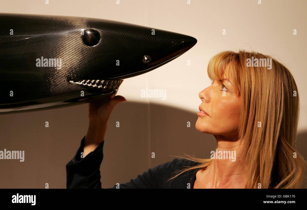 Chelsea Art Fair Foto Stock