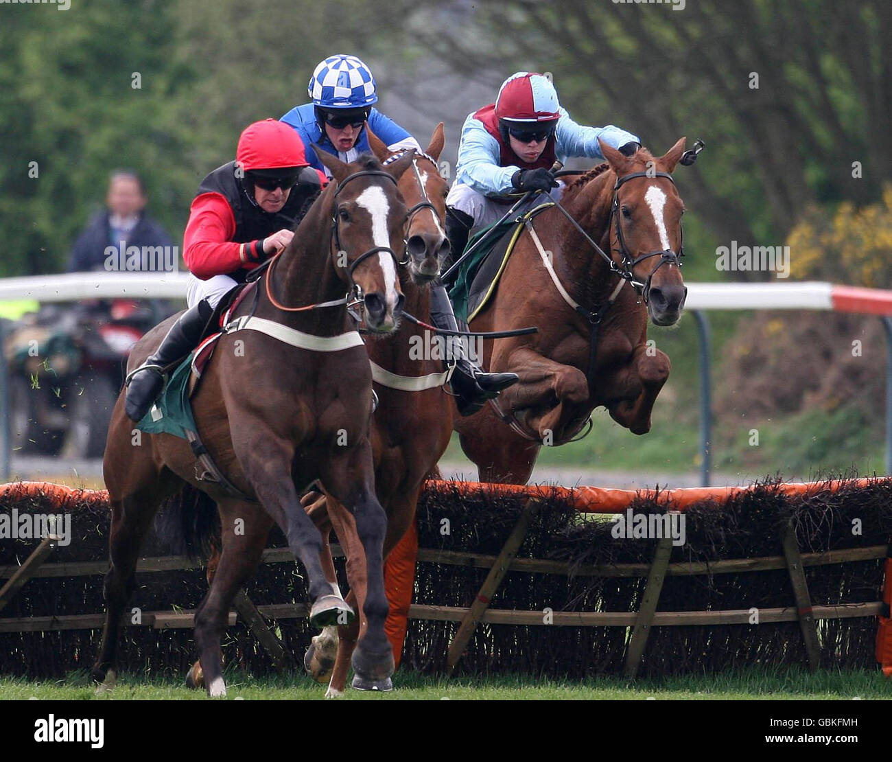 C'monthehammers guidato da Tom Molloy (a destra, Light Blue e Maroon) continua a vincere la barriera handicap del Kinloch House Hotel Conditional jockeys' dal secondo posto Easby Park guidato da Michael o'Connell (a sinistra) e dal Dottor Kilbride guidato da Tom Messenger (centro) durante il festival Stan James Perth Racecourse, Perth, Perth, Perth. Foto Stock