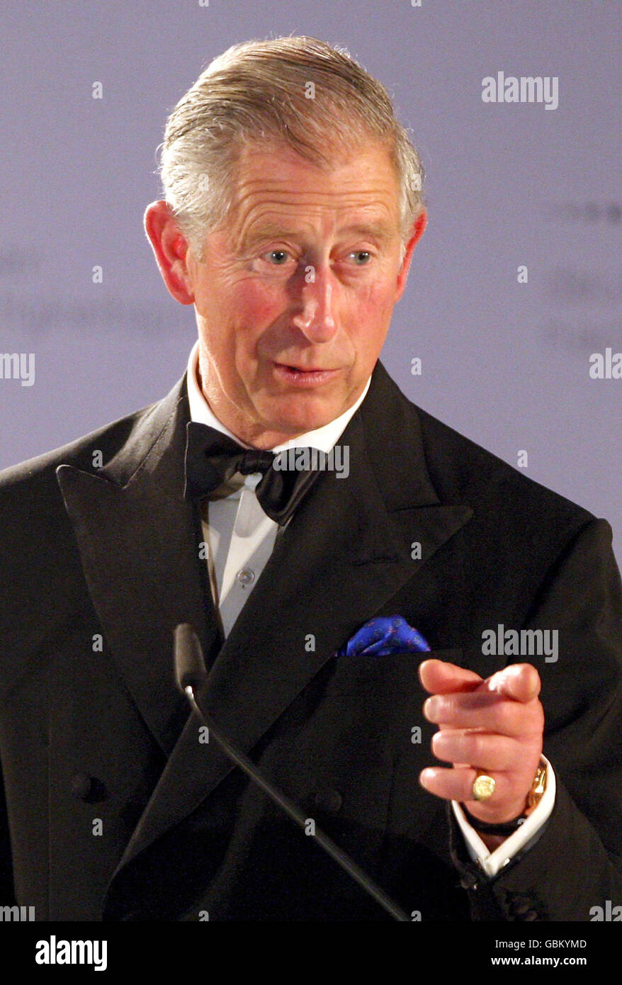 Il Principe del Galles ha tenuto un discorso durante il Sustainability Awards 2009 al Museo storico tedesco di Berlino, Germania. Foto Stock