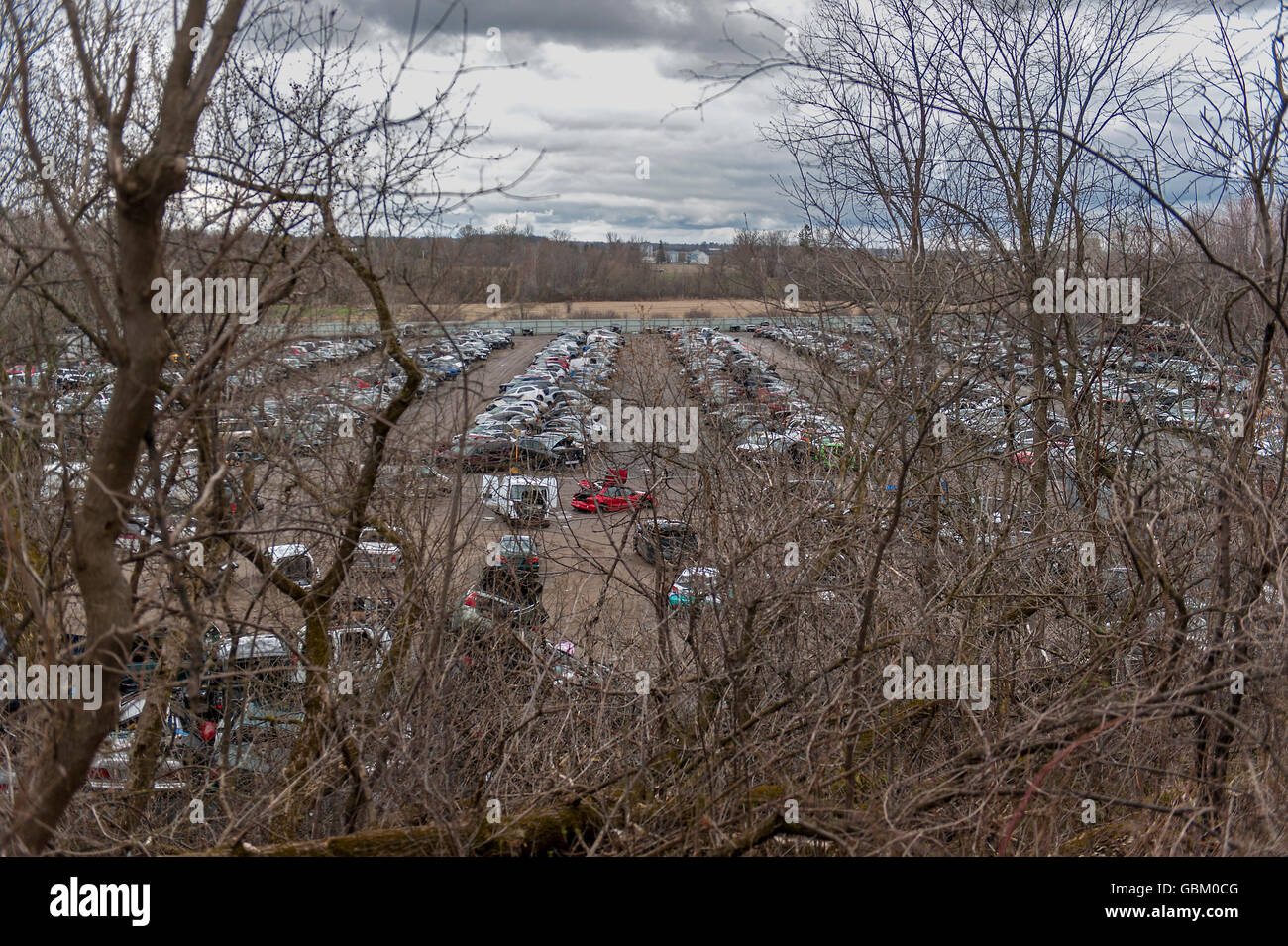 Panoramica di scrapyard/junkyard attraverso alberi sfrondato Foto Stock