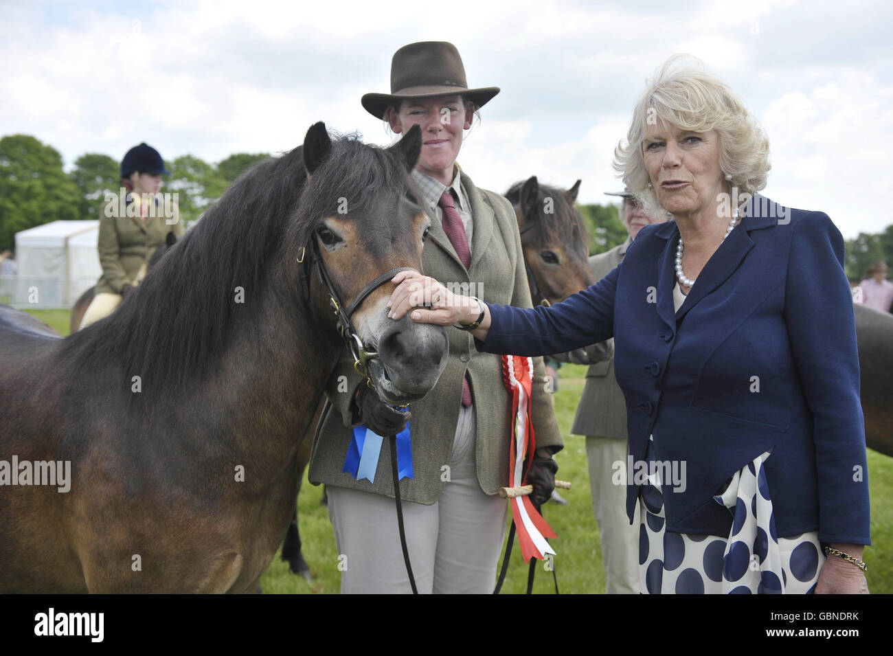 La duchessa di Cornovaglia batte un pony durante la sua visita al Royal Bath and West Show, Shepton Mallet, Somerset. Foto Stock