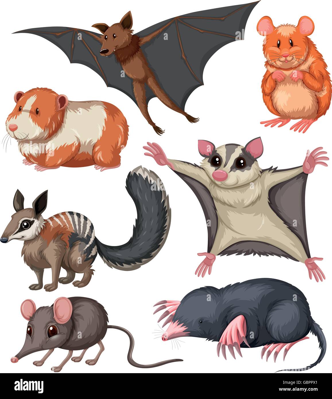Diversi tipi di piccola illustrazione della fauna selvatica Illustrazione Vettoriale