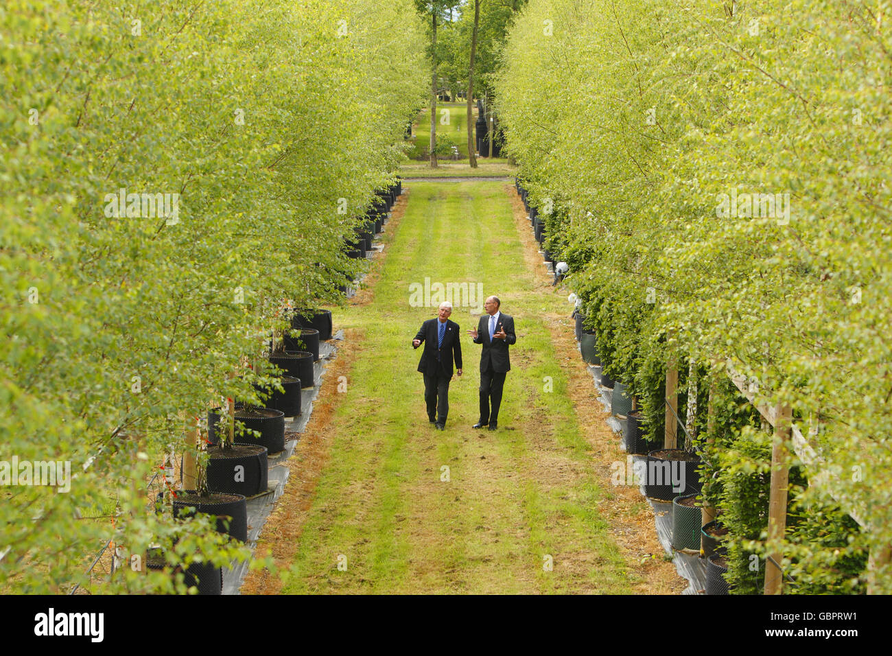 John Armitt, presidente della Olympic Delivery Authority (destra) e Robert Hillier tra alcuni dei 2000 alberi di Hillier Nursery vicino a Romsey, Hampshire, che costituirà il Parco Olimpico di Stratford, a est di Londra. Foto Stock