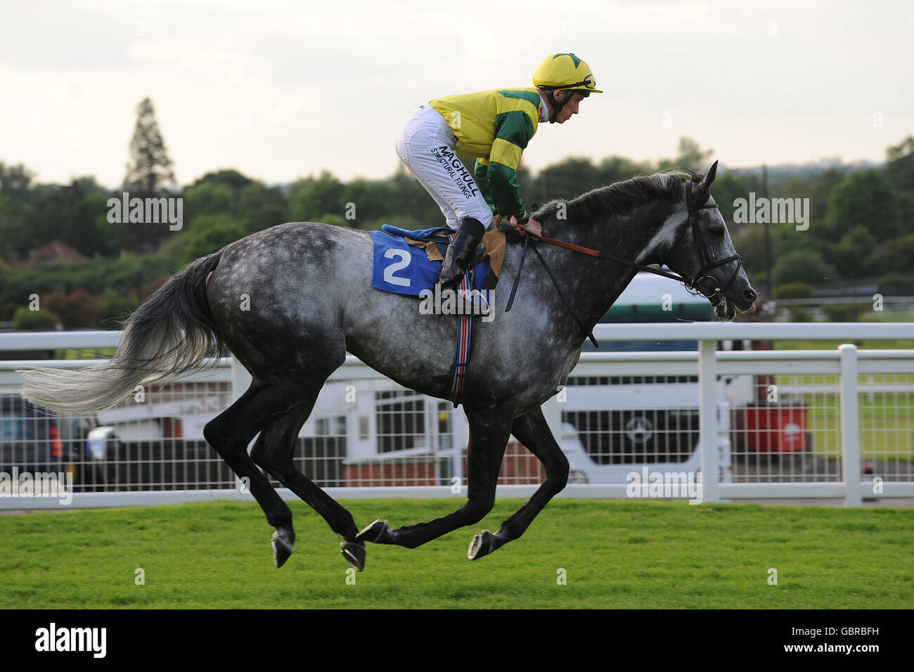 Horse Racing - Blue Square Brigadier Gerard sera - Sandown Park Foto Stock