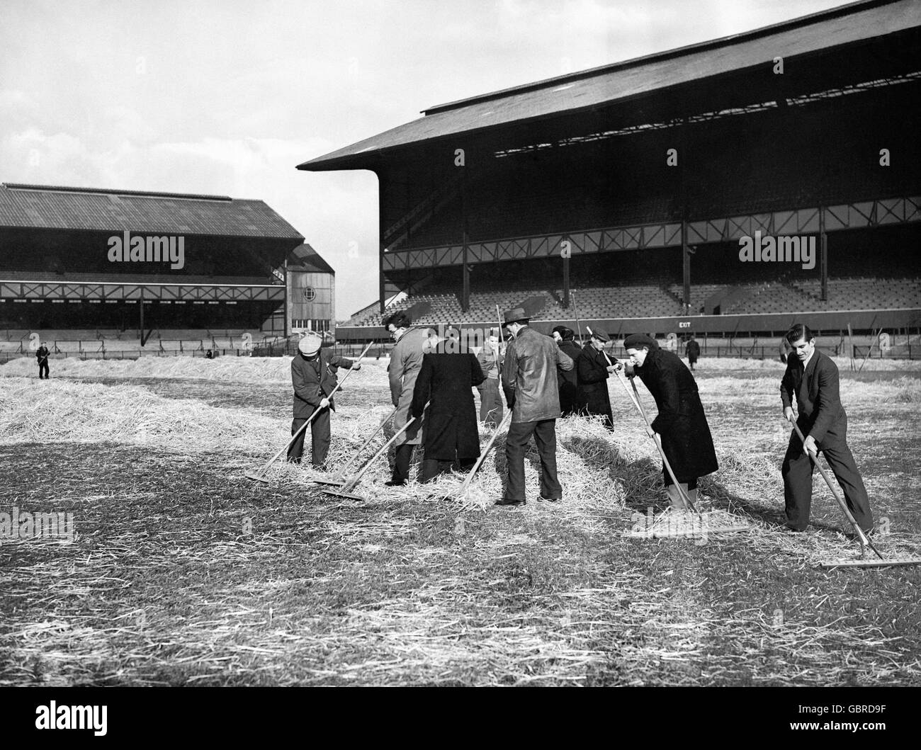 I Groundsmen che liberano la paglia, che è stato disposto per proteggere il campo dalle intemperie. Foto Stock