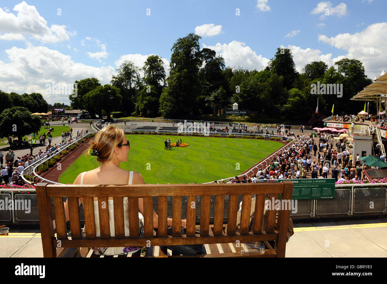 Horse Racing - Totepool giorno irlandese - Sandown Park Foto Stock