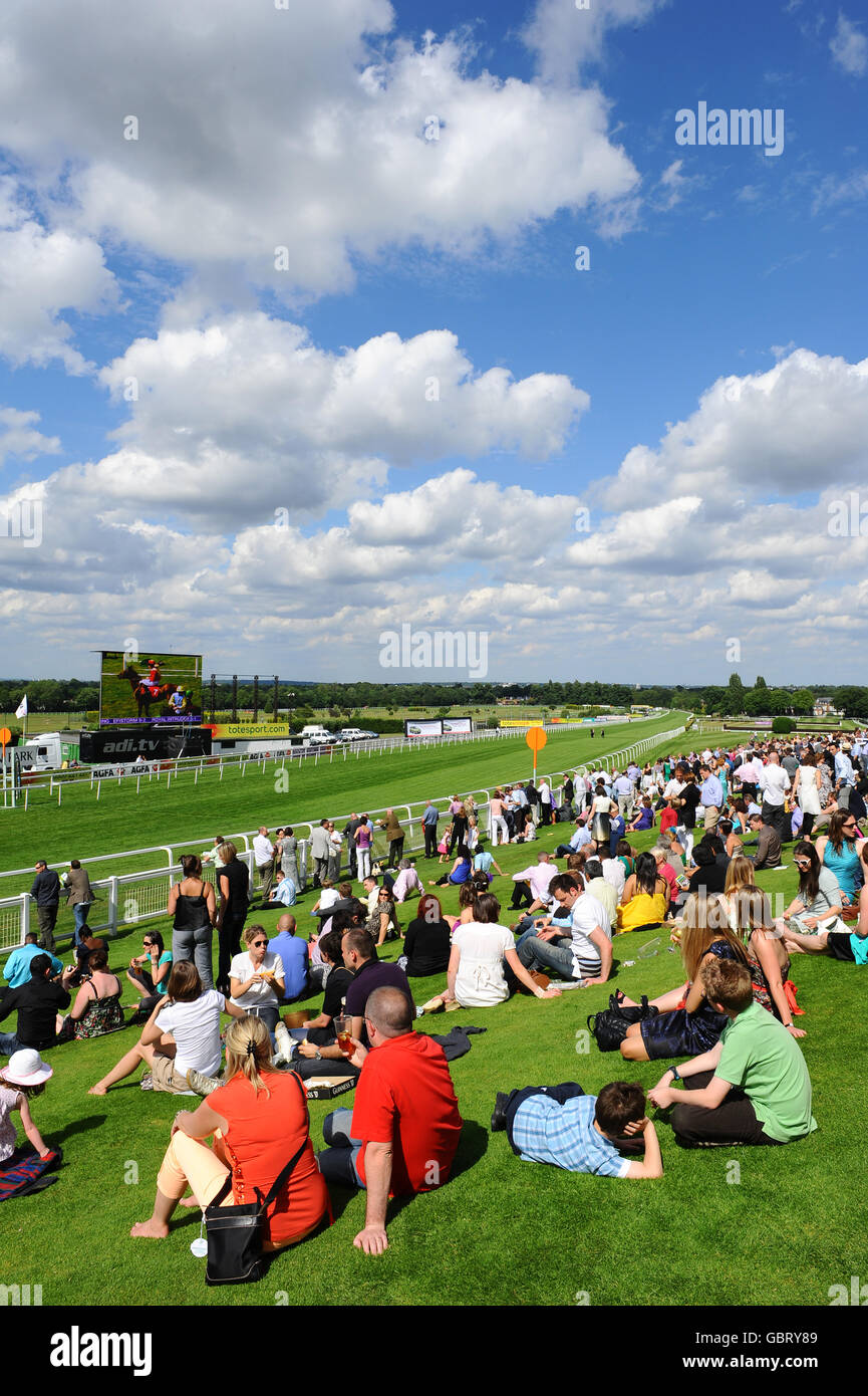 Horse Racing - Totepool giorno irlandese - Sandown Park Foto Stock