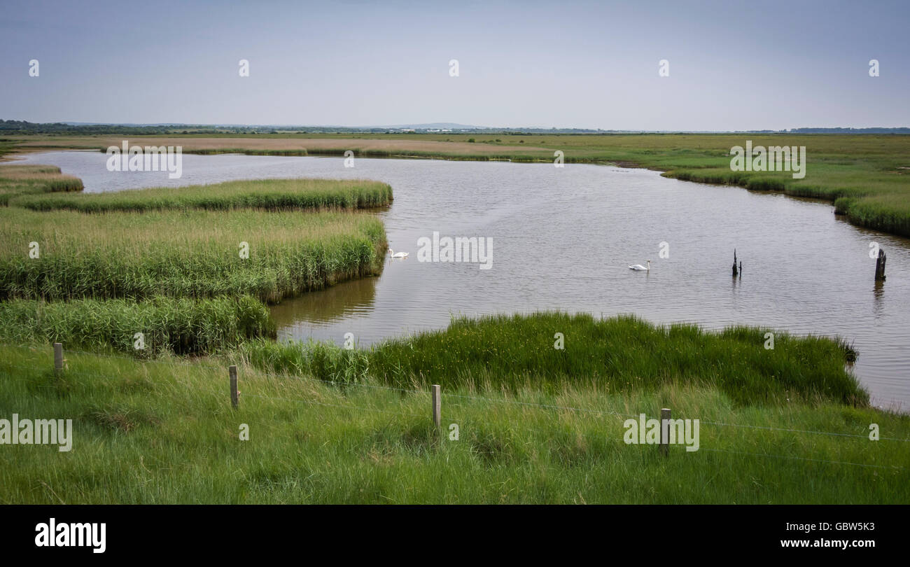 Paludi Farlington Riserva Naturale, Hampshire, Inghilterra, Regno Unito Foto Stock