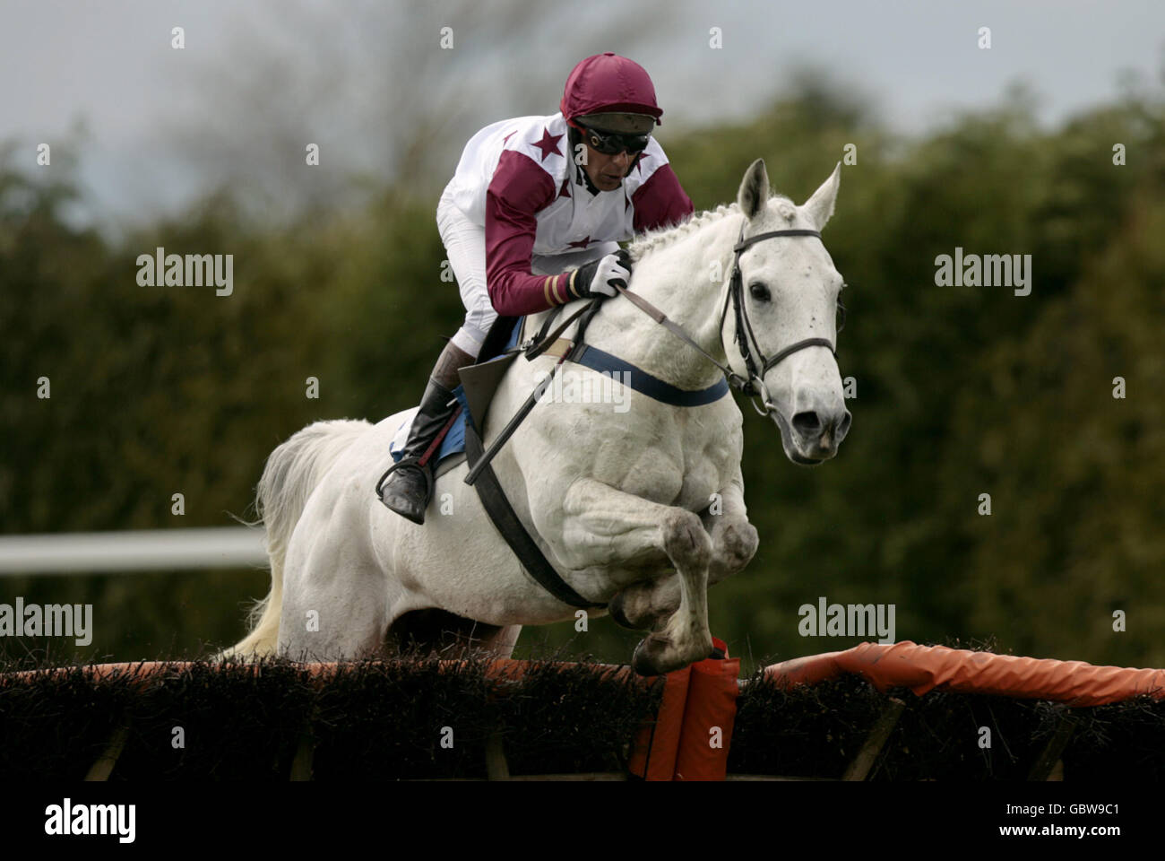 Corse di cavalli - Wye Valley Brewery Day - Ippodromo di Hereford. Hawk's Landing indovinato dal signor M Munrowd durante l'ostacolo per le richieste di rimborso di Dorothy Goodbody Foto Stock