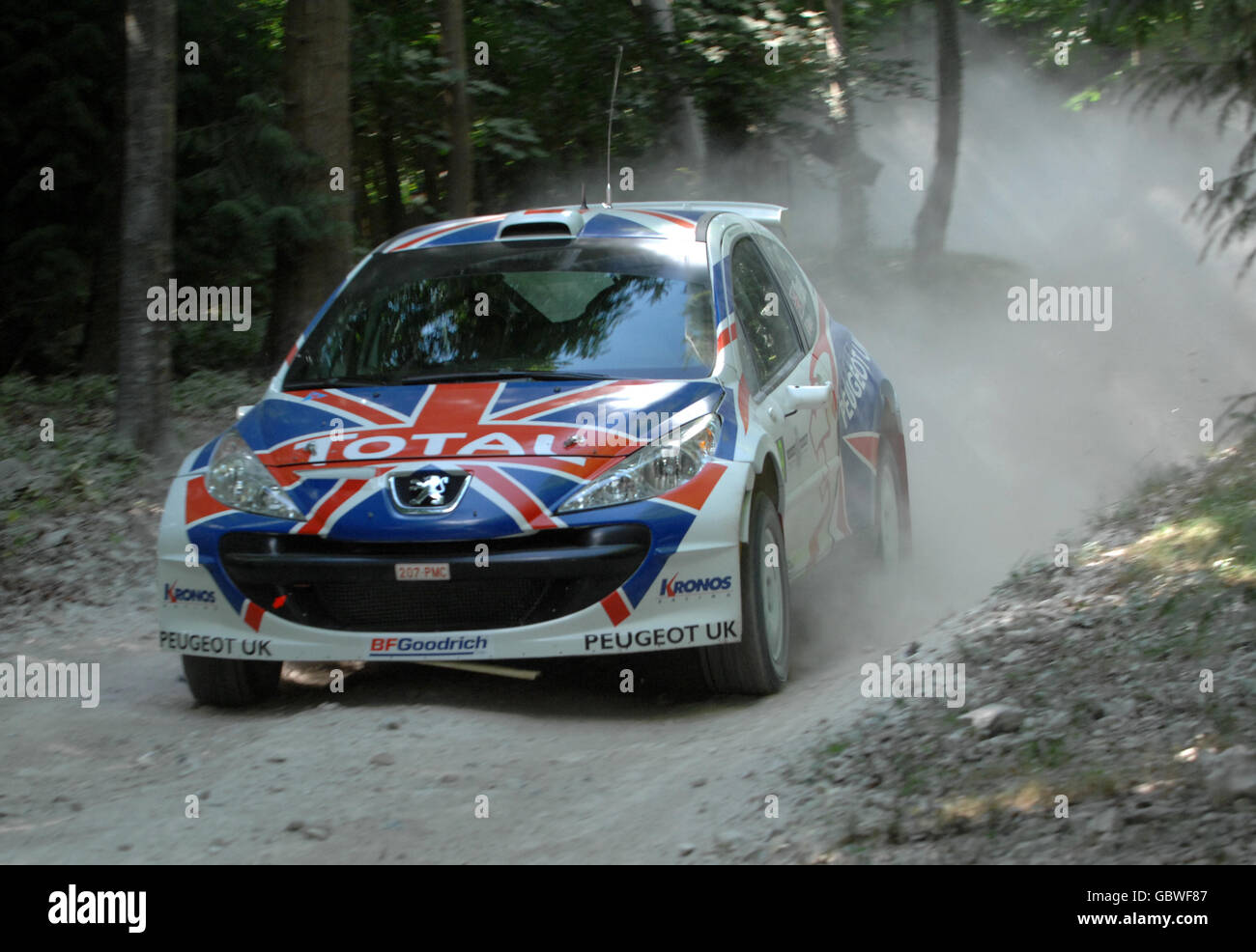 Una Peugeot 207 S2000 è guidata intorno al Forest Rally Stage durante il Goodwood Festival of Speed 2009. Foto Stock