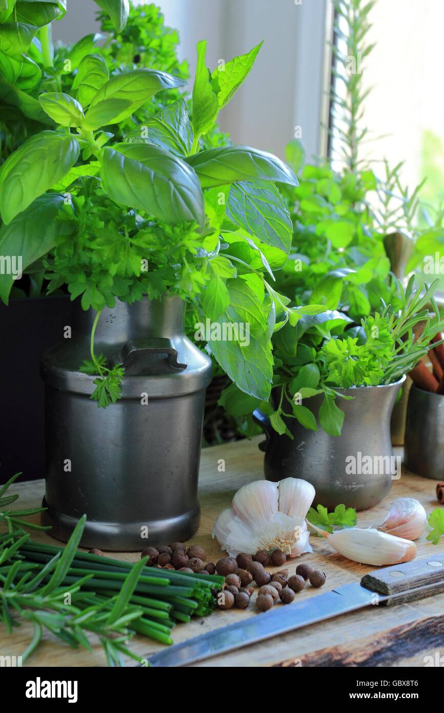 Erbe aromatiche fresche in cucina Foto Stock