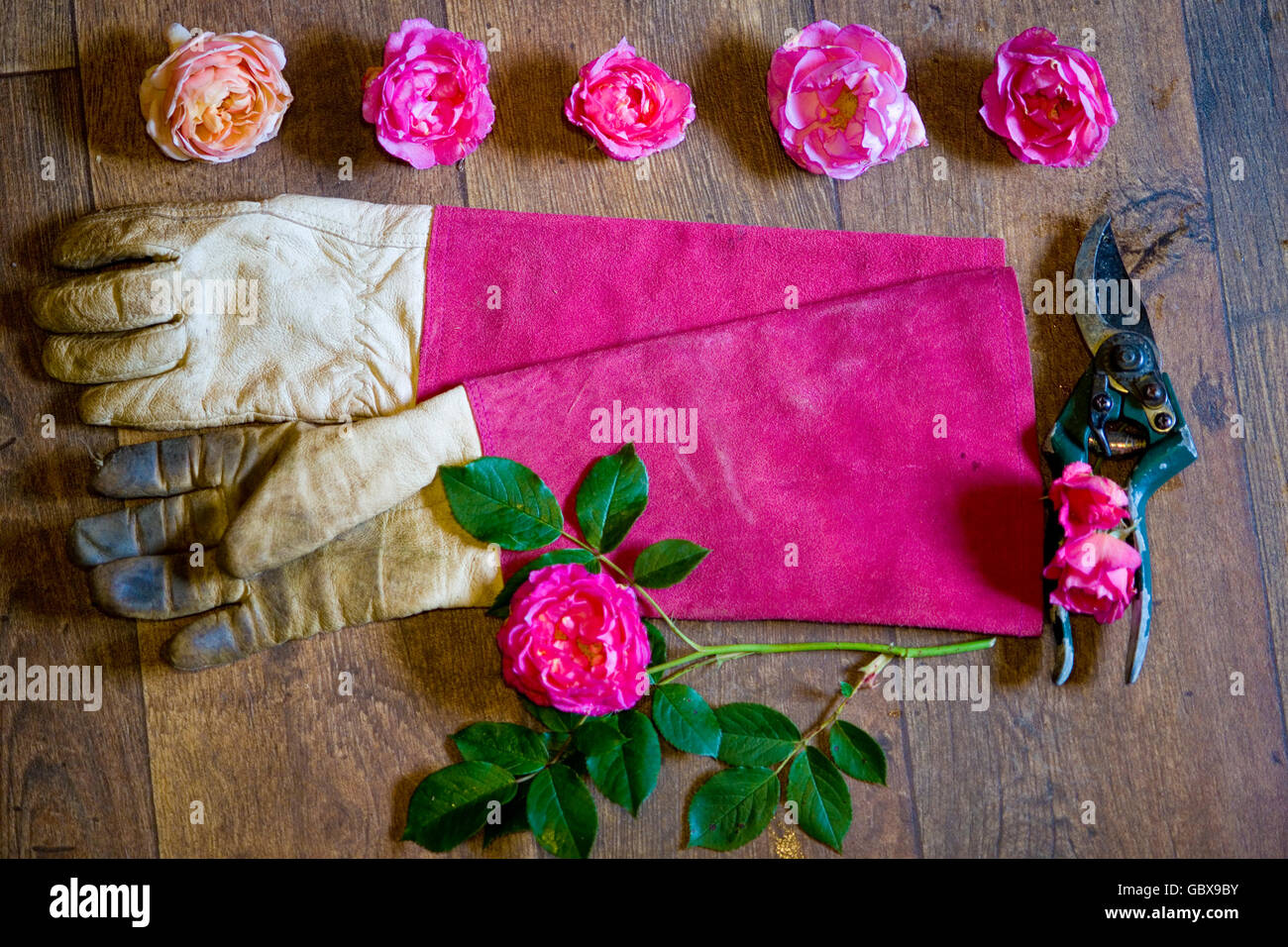 Appartamento giardinaggio laici Foto Stock