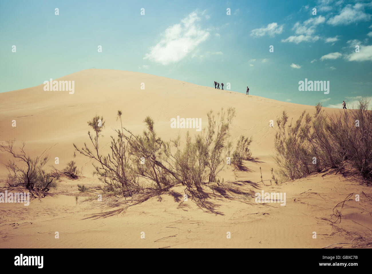Dune del deserto, Kazakistan, Cental Asia, dune di sabbia Foto Stock