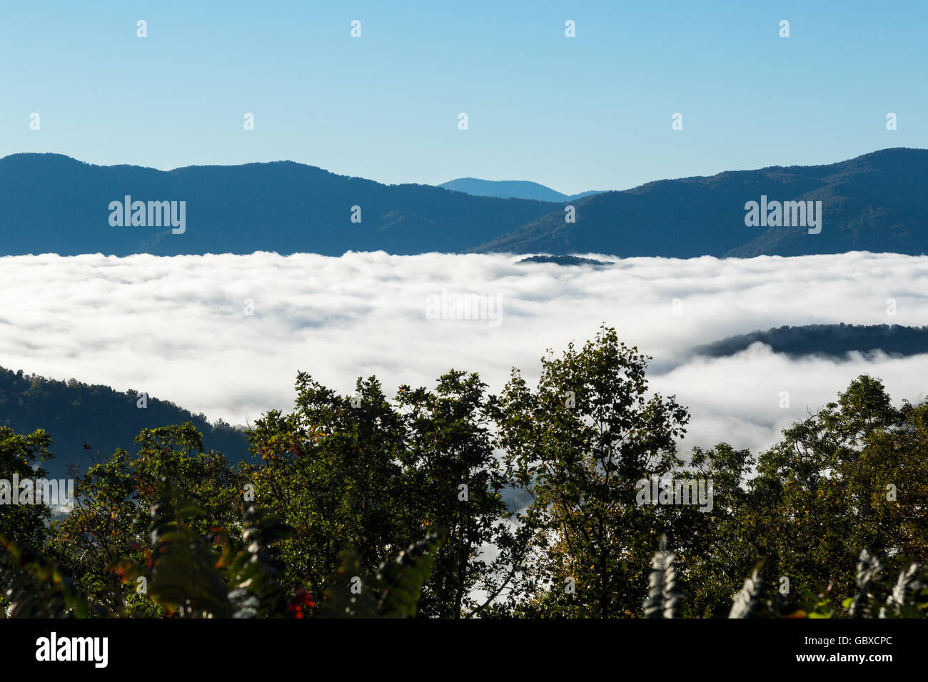 Early Morning mist volute nel monti Appalachi Blue Ridge Parkway Foto Stock