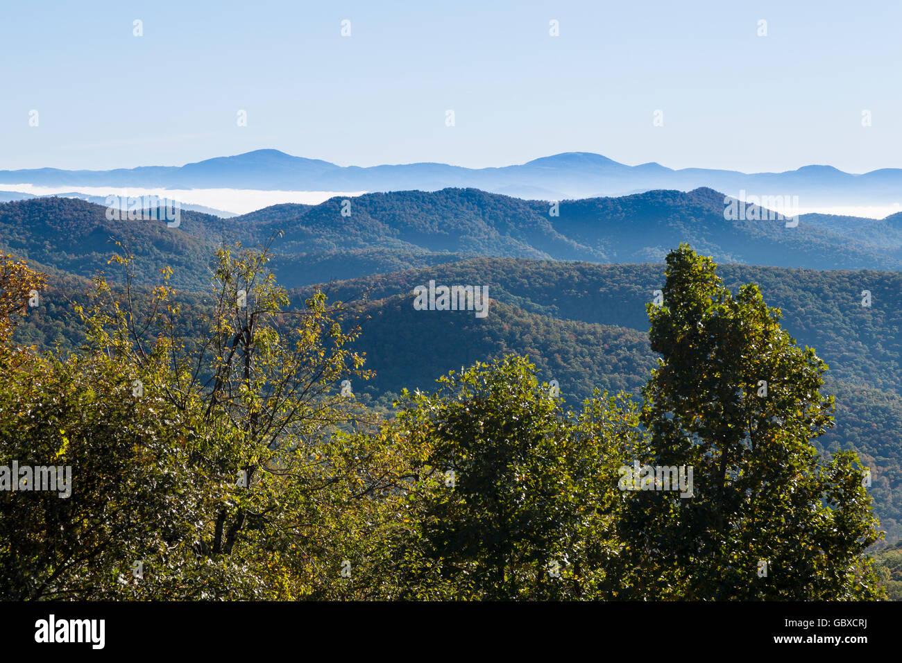 Vista panoramica si affacciano su Blue Ridge Parkway road, Asheville, NC, Stati Uniti d'America Foto Stock