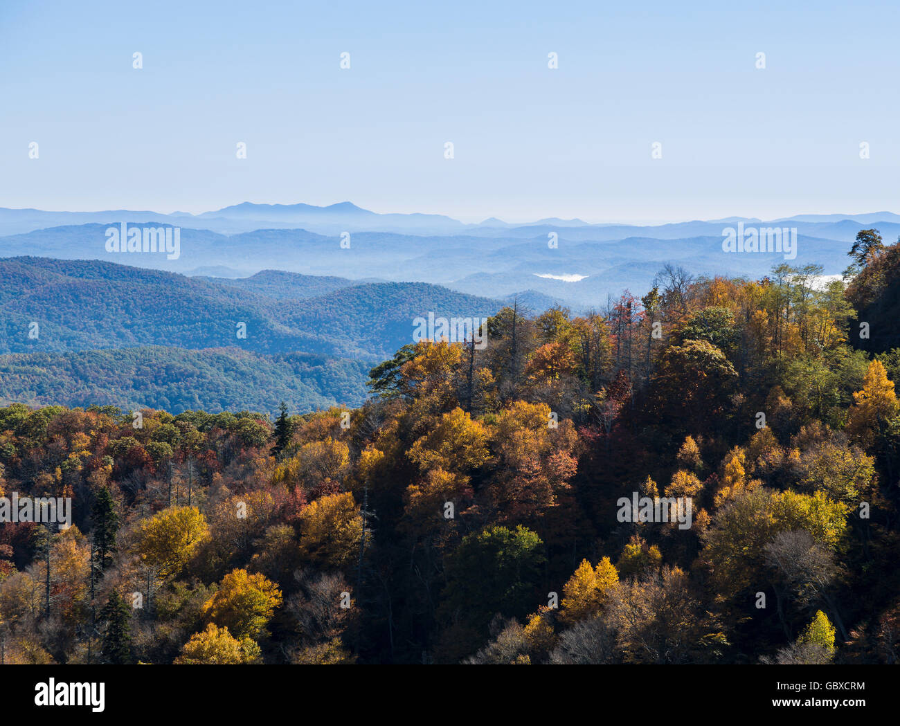 Vista panoramica si affacciano su Blue Ridge Parkway road, Asheville, NC, Stati Uniti d'America Foto Stock