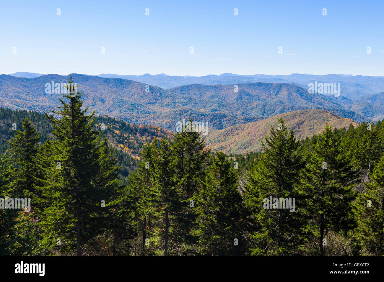 Vista sulla montagna più alta elevazione su Blue Ridge Parkway road, Asheville, NC, Stati Uniti d'America Foto Stock