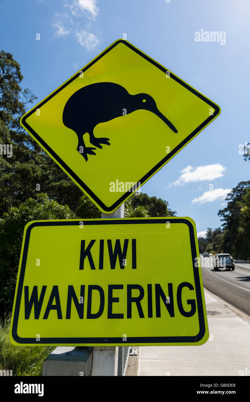 Avviso di Kiwi cartello stradale, Whakatane, Isola del nord, Nuova Zelanda Foto Stock