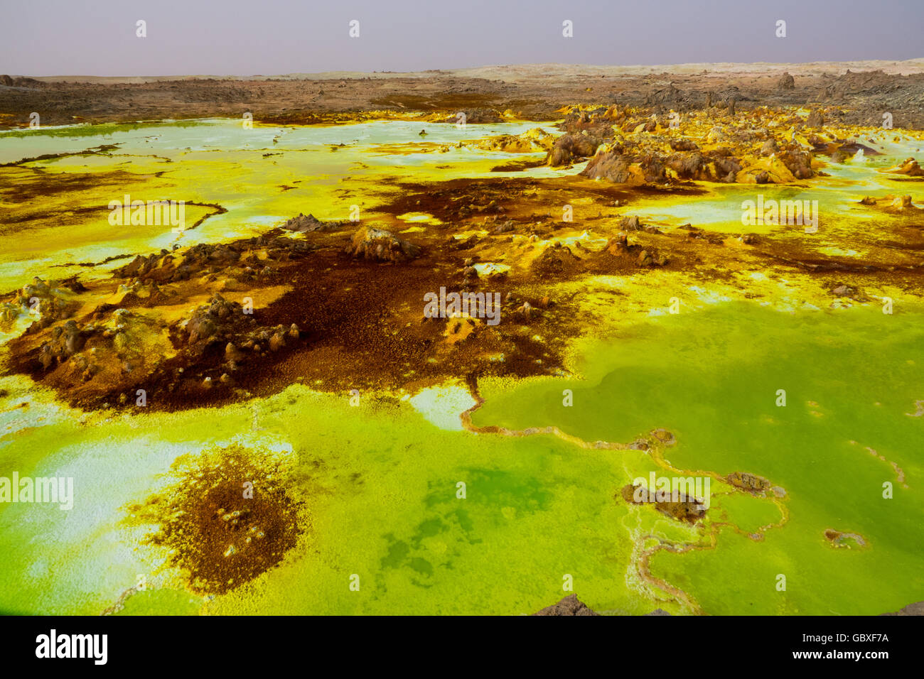 Verdi, gialli e marroni vivaci a Dallol, un pezzo di sali chimici nella depressione Danakil, Etiopia Foto Stock