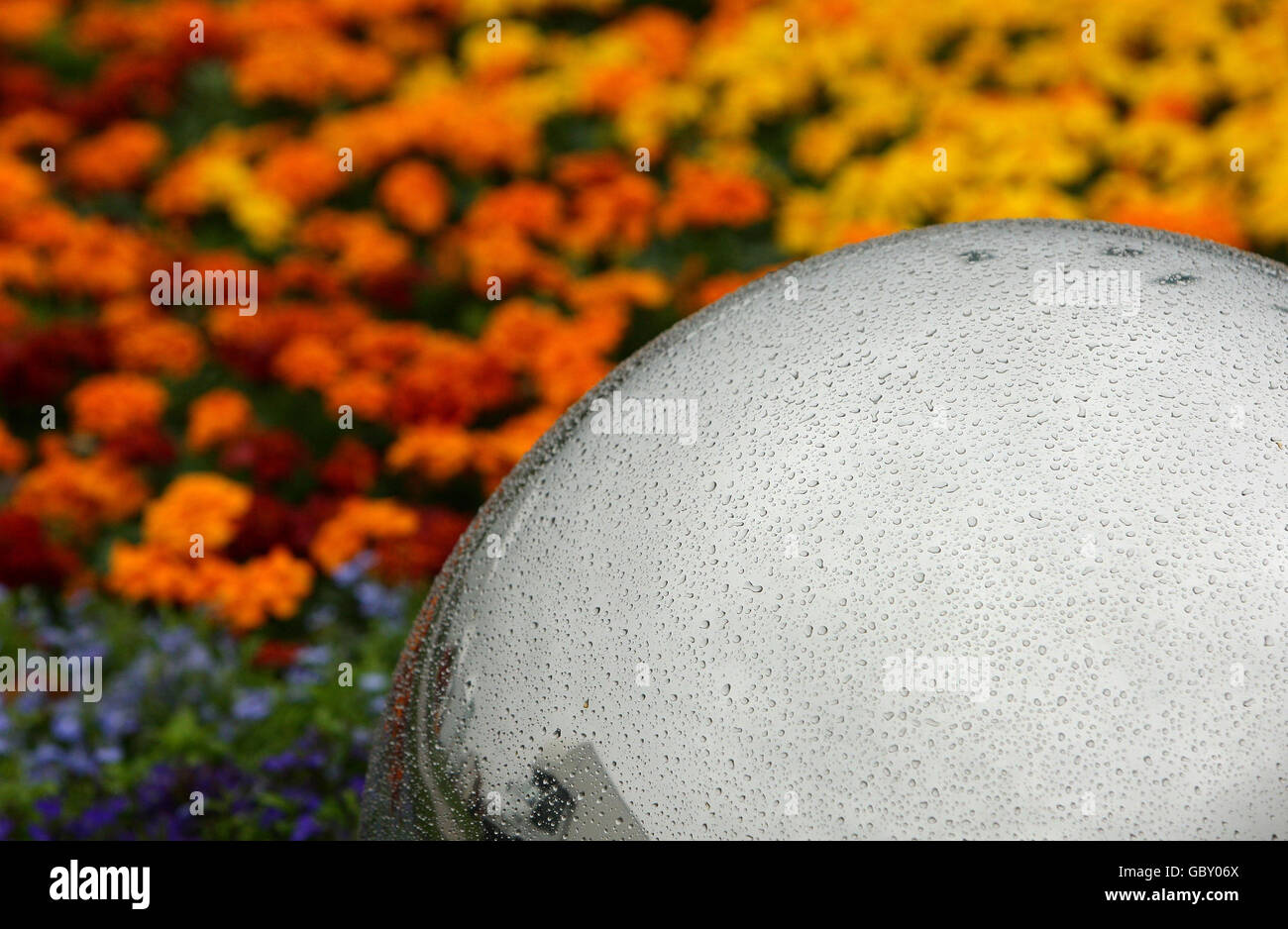 L'acqua piovana siede su una sfera riflettente al RHS Show a Tatton Park, Cheshire. Lo spettacolo inizia domani e si svolge fino al 26 luglio. Foto Stock