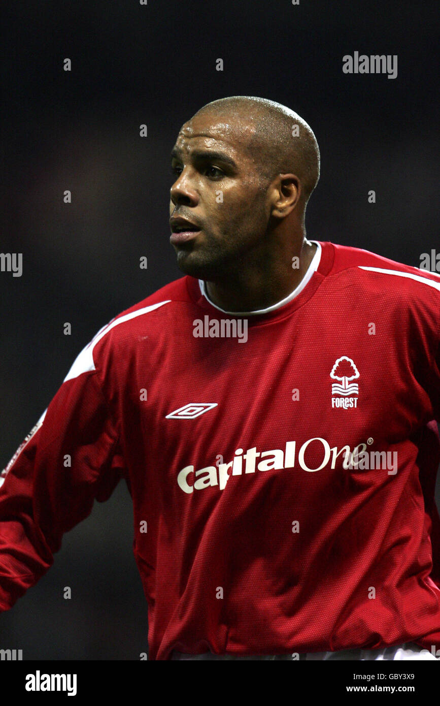 Calcio - Coca-Cola Football League Championship - Nottingham Forest contro Rotherham United. Marlon King, Nottingham Forest Foto Stock