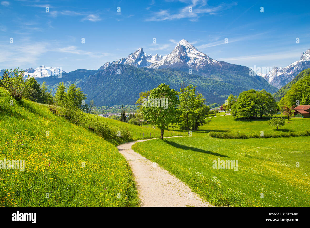 Idillico paesaggio delle Alpi con fresco verde pascoli di montagna e innevate vette di montagna in background in estate Foto Stock
