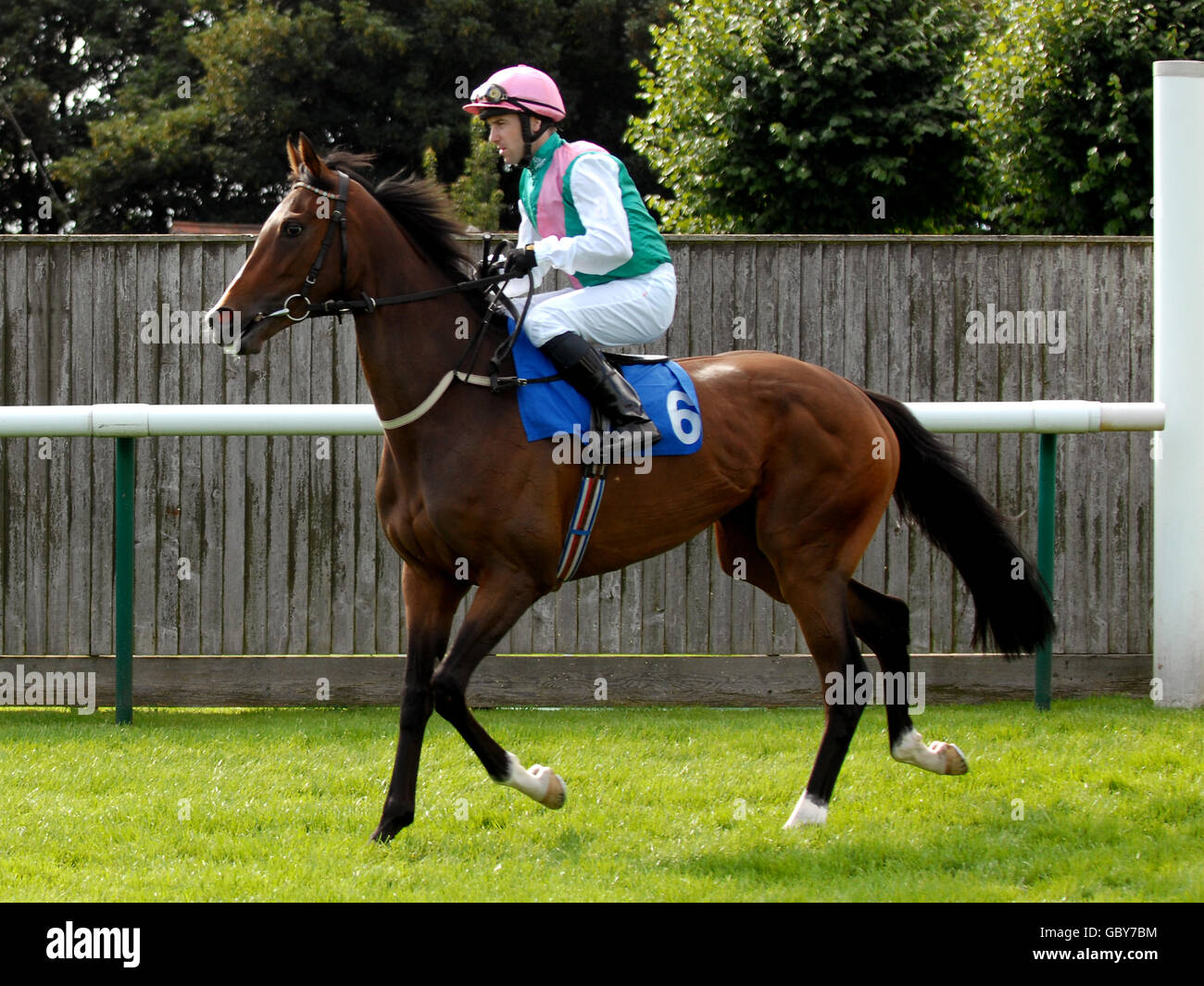 Verde oliva guidato da Robert Winston va a posto a Nottingham Racecourse, Nottingham. Foto Stock