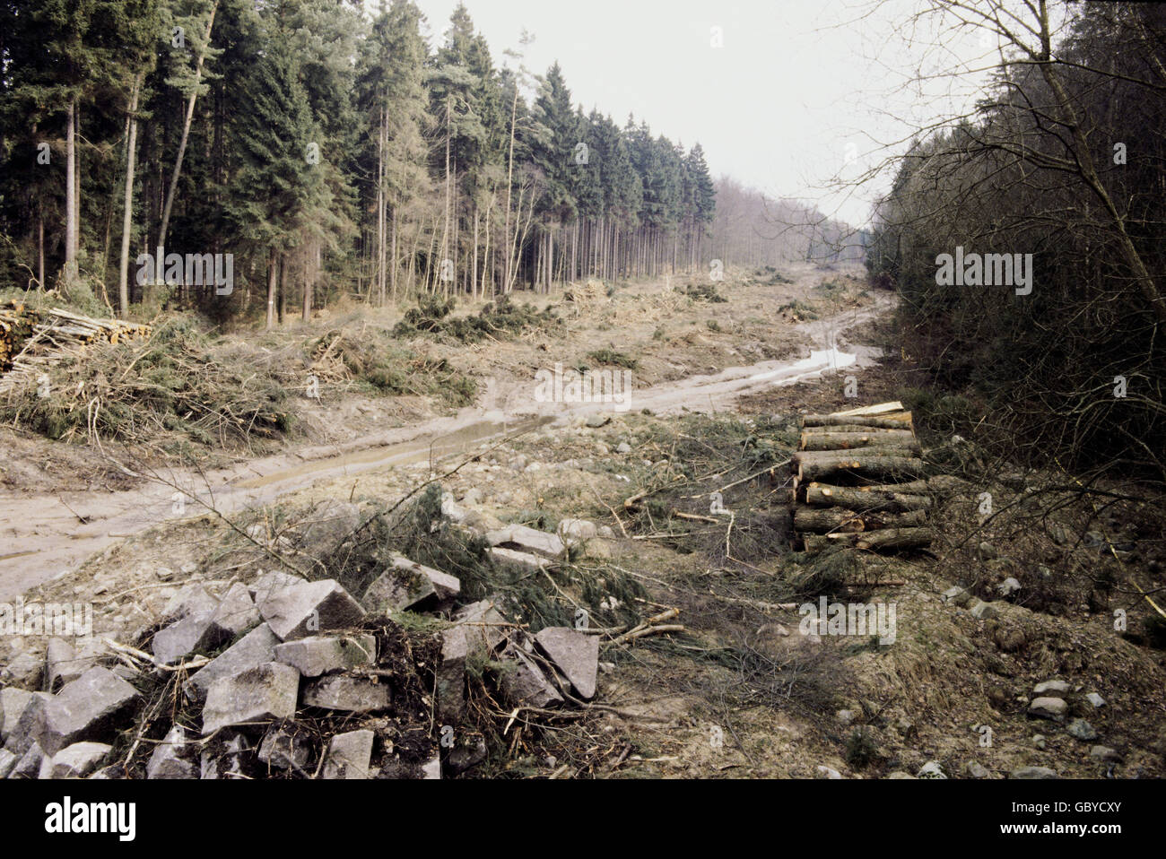 Edilizia, cantiere, autobahn Amburgo / Berlino in costruzione nel Sachsenwald, ad est di Amburgo, alberi tagliati, autostrada federale, strada, strade, 20 ° secolo, storico, storico, anni 60 (?), tronco, tronchi di alberi, navata forestale, navate forestali, diritti aggiuntivi-clearences-non disponibili Foto Stock