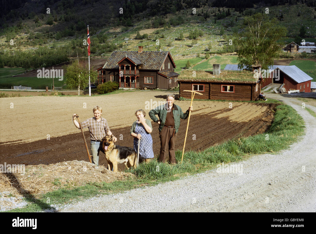 Agricoltura, persone durante il lavoro, famiglia Lund che coltivano il suo campo, Norvegia, 1981, diritti aggiuntivi-clearences-non disponibile Foto Stock