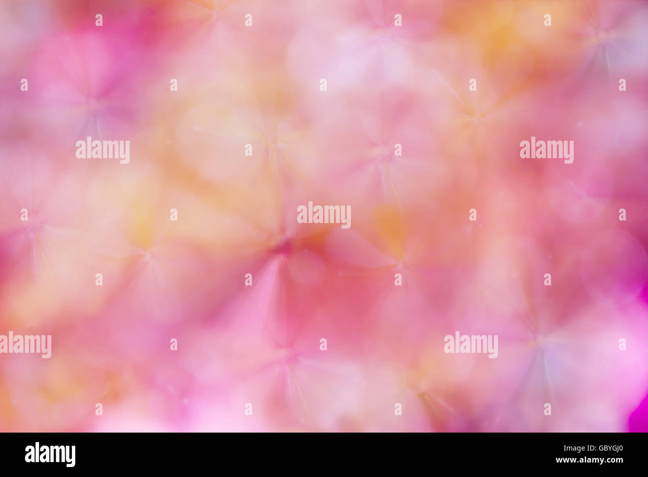 Pastello sognante coloratissimi fiori astratti e dolce amore romantico o blossom sfondo rosa Foto Stock