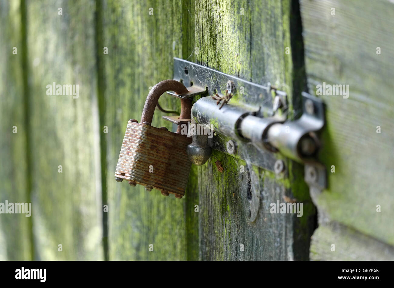 Lucchetto sul vecchio, weathered Tettoia da giardino, Norfolk, Inghilterra Foto Stock