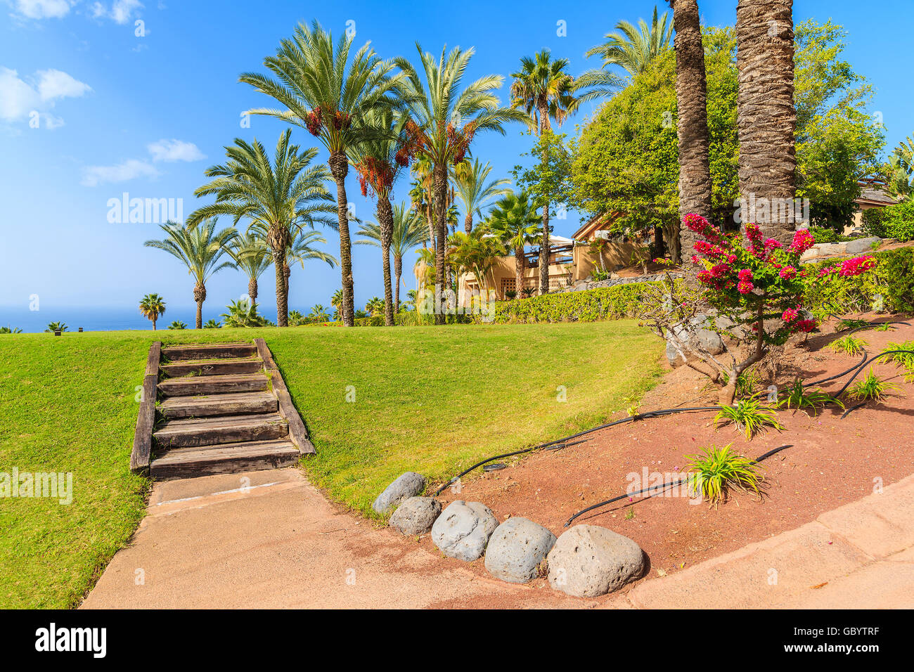 Gradini in legno e le palme nel giardino tropicale sull'isola di Tenerife, Spagna Foto Stock