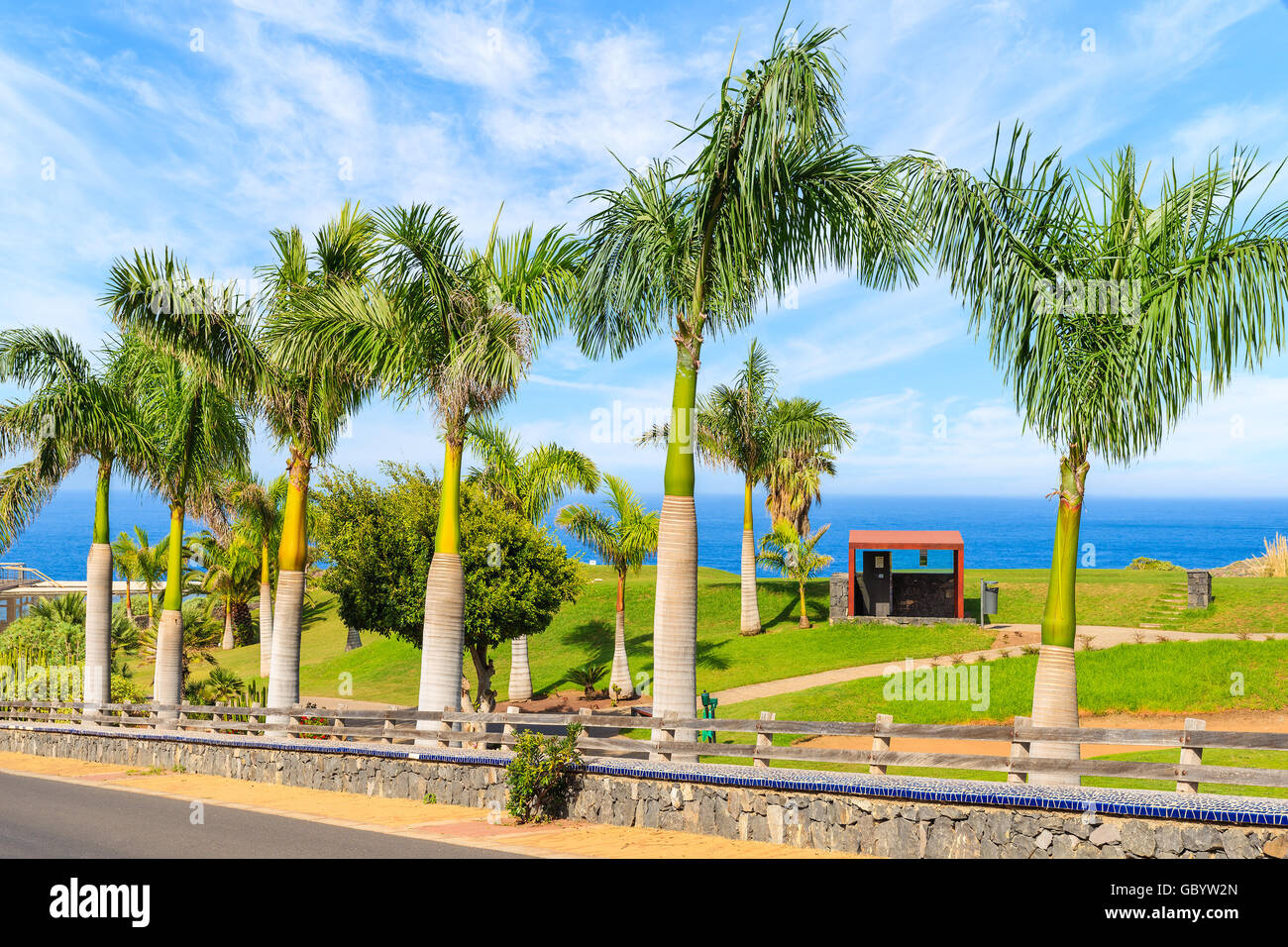 Alberi di palma tropicali lungo una strada panoramica vicino oceano nel nord di Tenerife, Isole Canarie, Spagna Foto Stock
