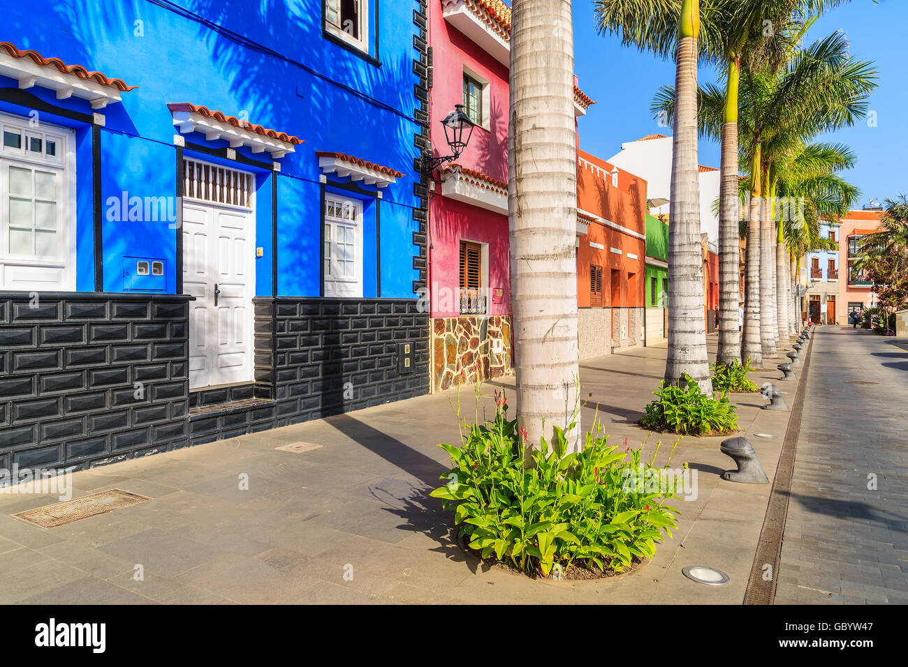 Case colorate e palme sulla strada di Puerto de la Cruz town, Tenerife, Isole Canarie, Spagna Foto Stock