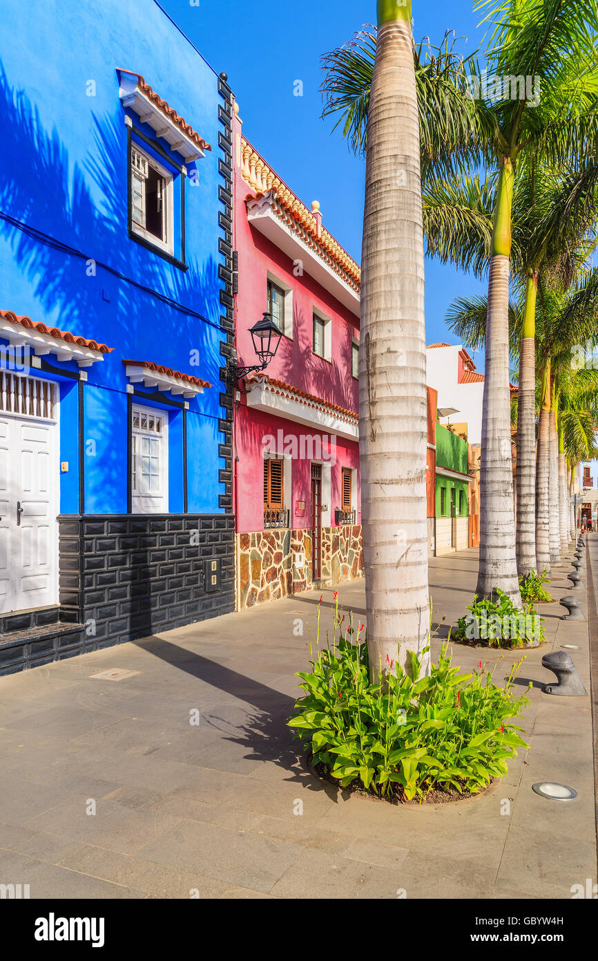 Case colorate e palme sulla strada di Puerto de la Cruz town, Tenerife, Isole Canarie, Spagna Foto Stock