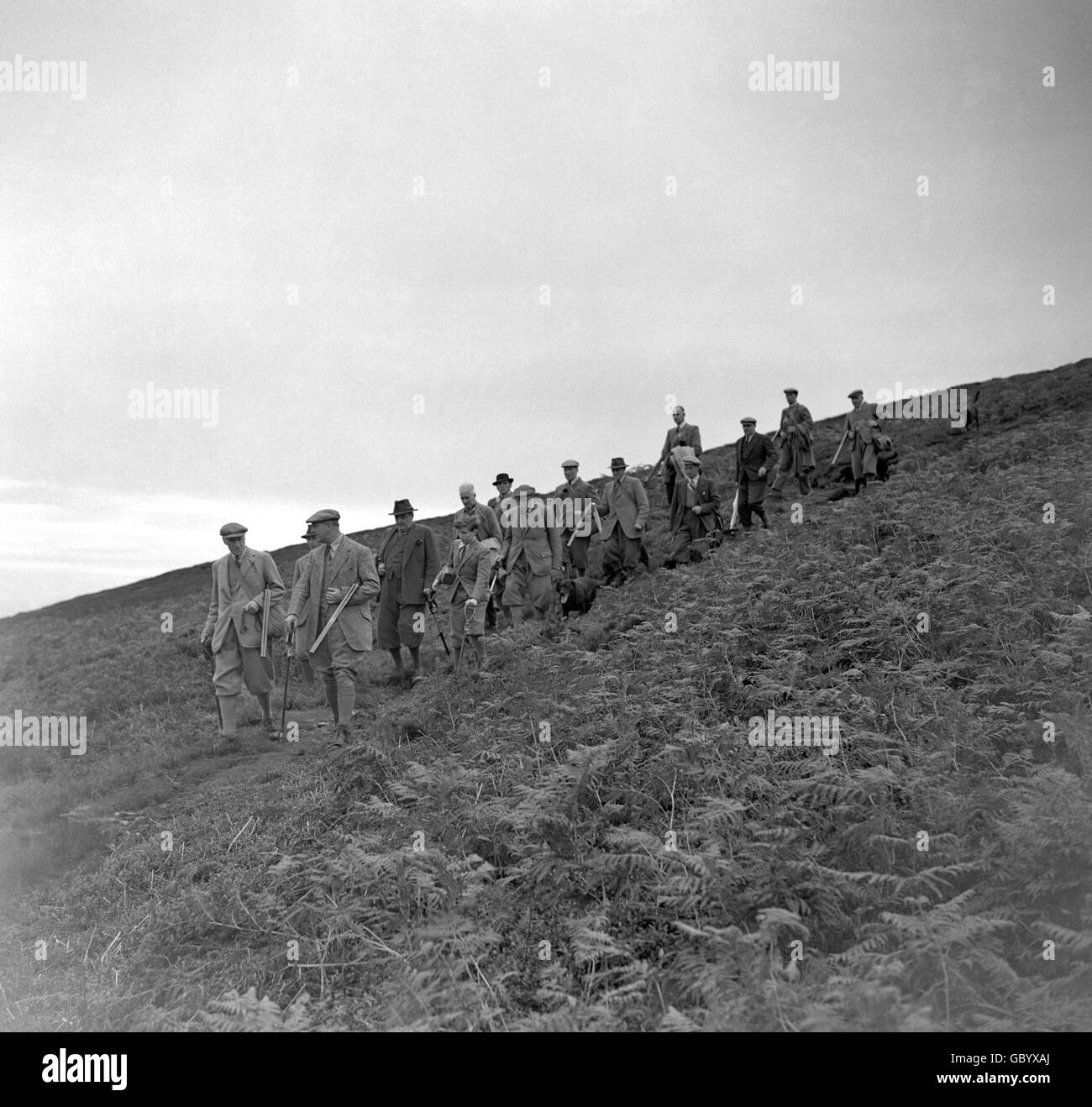 Grouse Shooting - Lord Swinton's Party - Potts Moor - North Yorkshire. Il partito di Lord Swinton cammina sulle brughiere fino alle stalle per sparare a gallo sui dodici gloriosi. Foto Stock