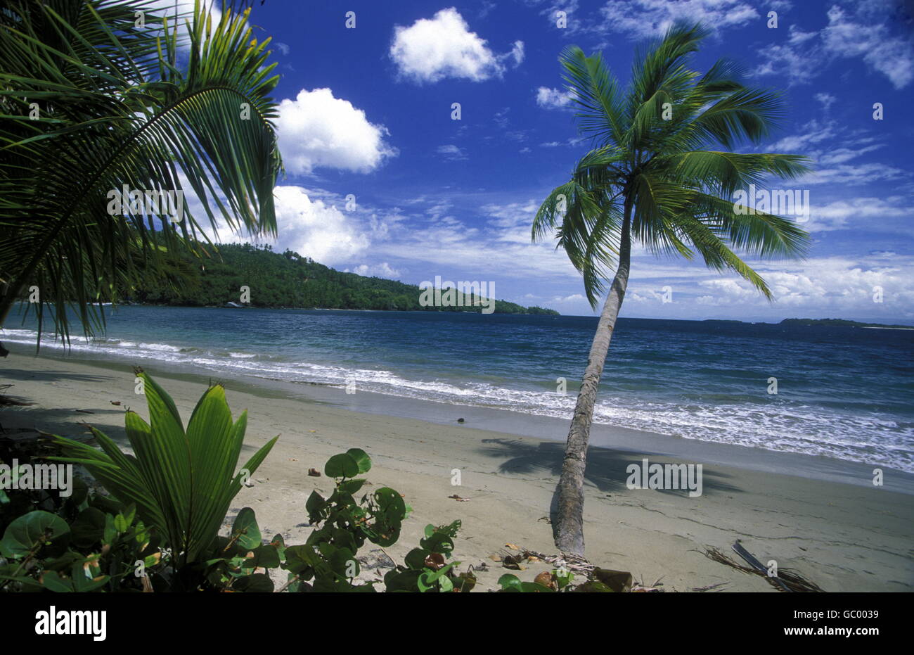 Una spiaggia presso il villaggio di Las Terrenas su Samanaon nella Repubblica Dominicana nel Mar dei Caraibi in America Latina. Foto Stock