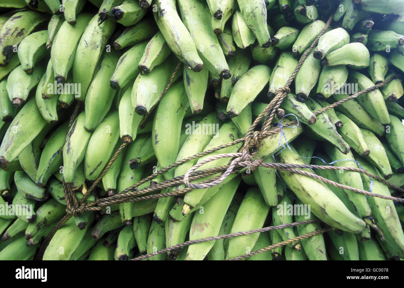 Banane al mercato presso il villaggio di Las Terrenas su Samanaon nella Repubblica Dominicana nel Mar dei Caraibi in latino Americ Foto Stock