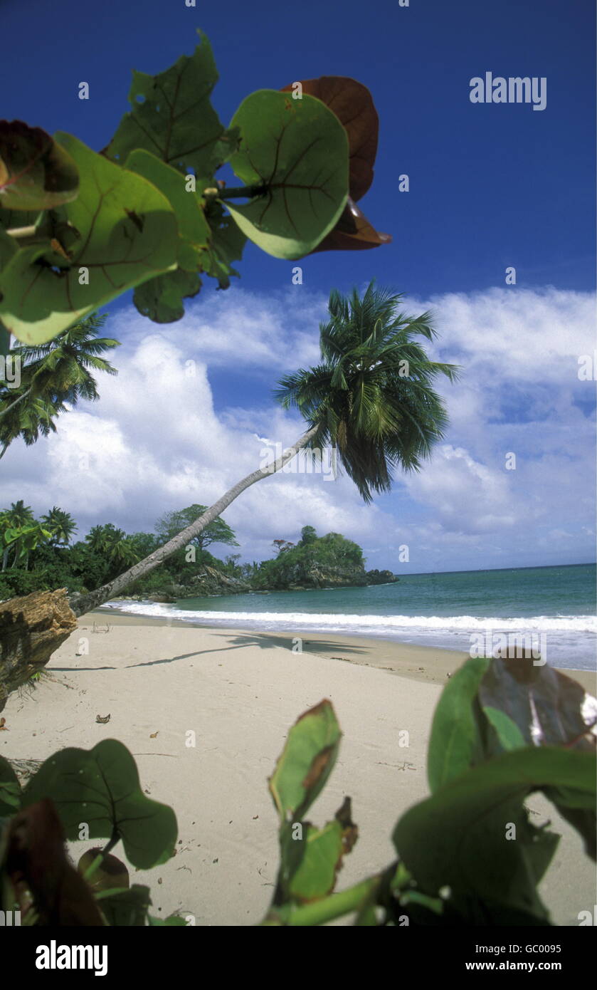 Una spiaggia presso il villaggio di Las Terrenas su Samanaon nella Repubblica Dominicana nel Mar dei Caraibi in America Latina. Foto Stock