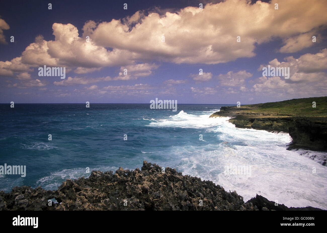 La costa presso il villaggio di Punta Cana nella Repubblica Dominicana nel Mar dei Caraibi in America Latina. Foto Stock