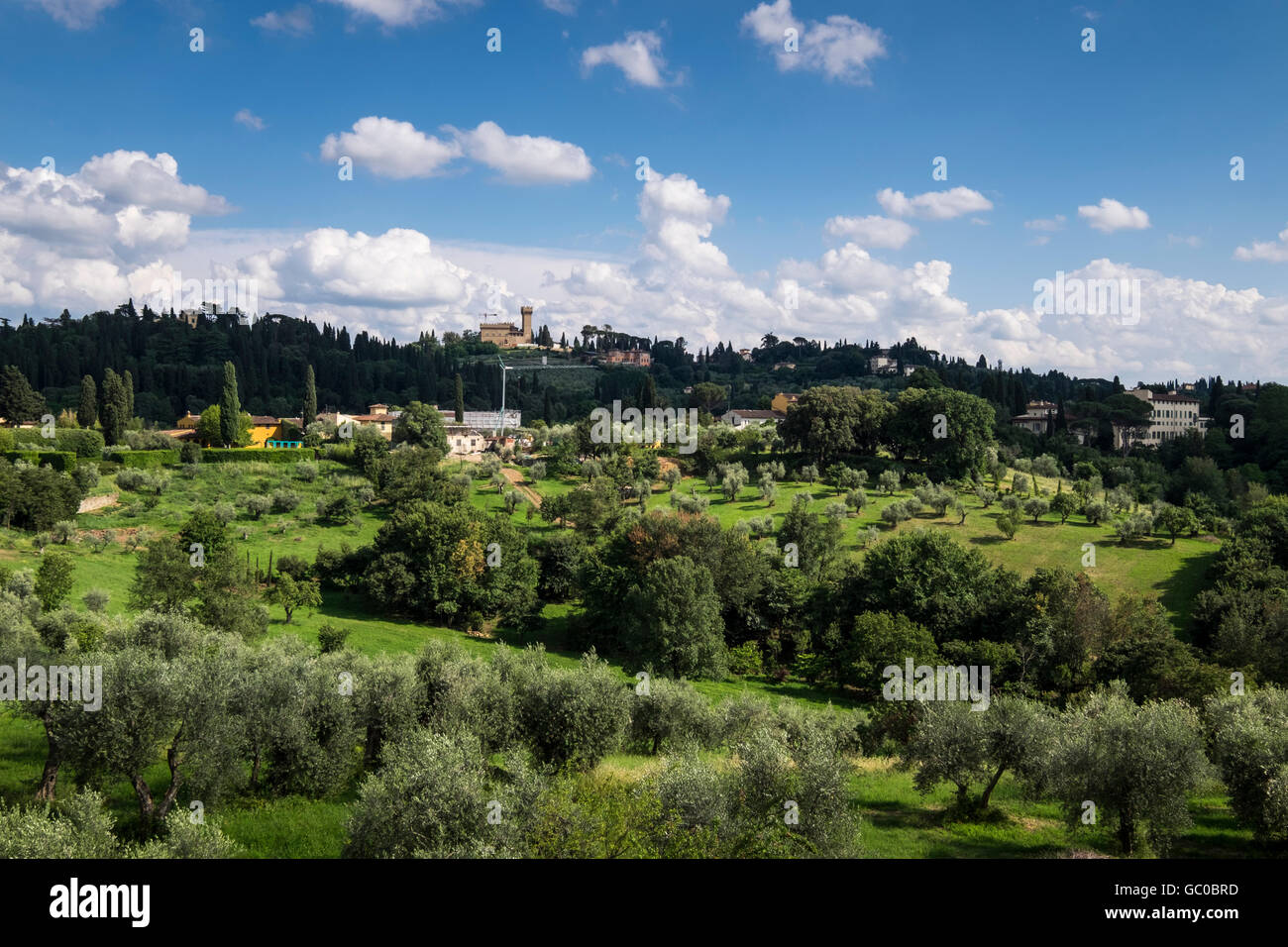 Vista sugli uliveti dal Giardino di Boboli sulla periferia di Firenze, Toscana, Italia Foto Stock