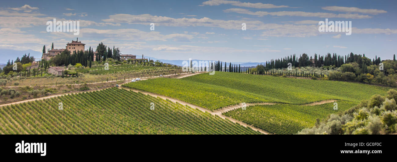 Panorama di un tipico vigneto toscano in Italia Foto Stock