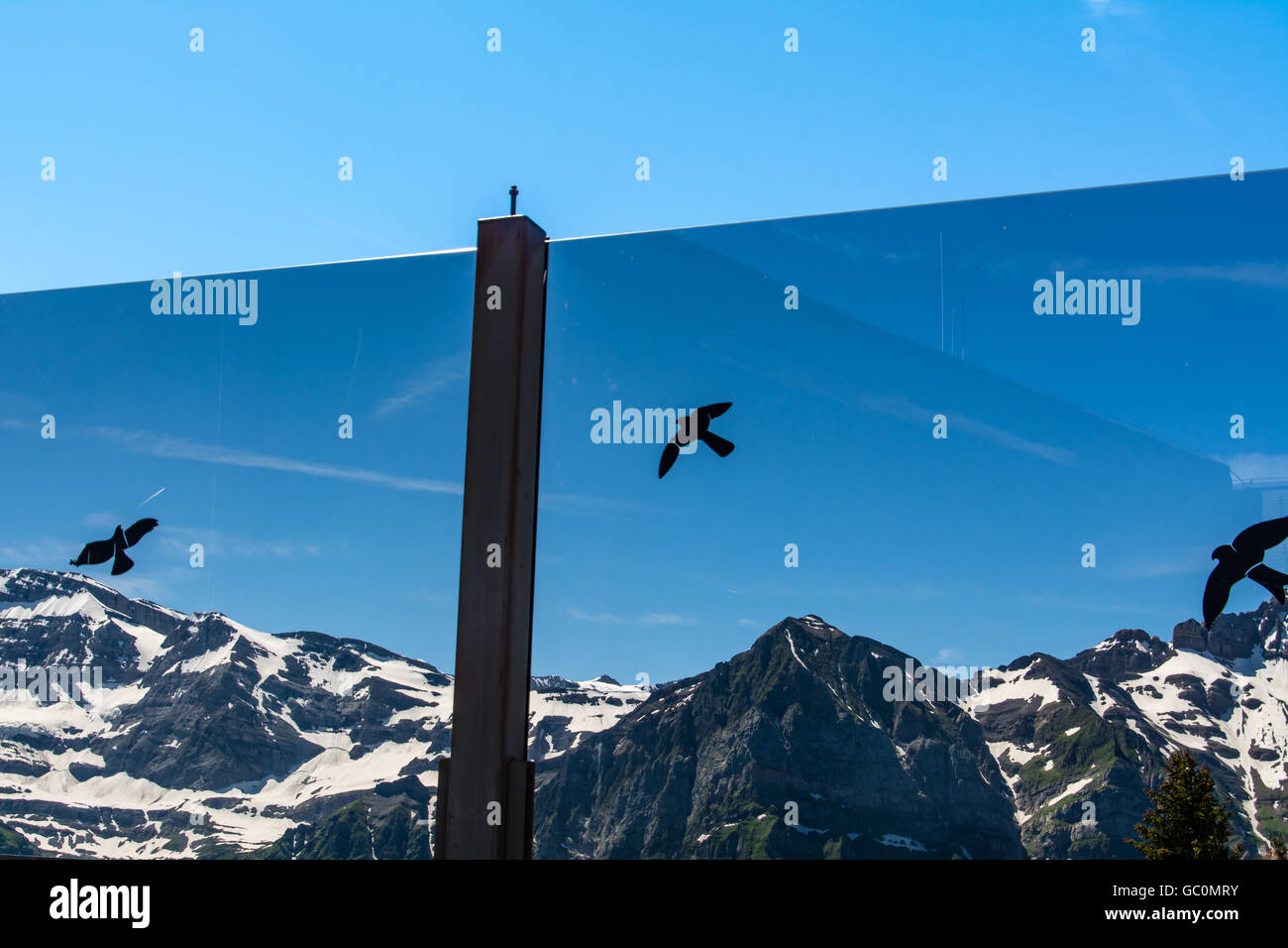 Vista panoramica della neve ha raggiunto un picco Alpi in Svizzera nel periodo estivo dalle Portes du Soleil Foto Stock