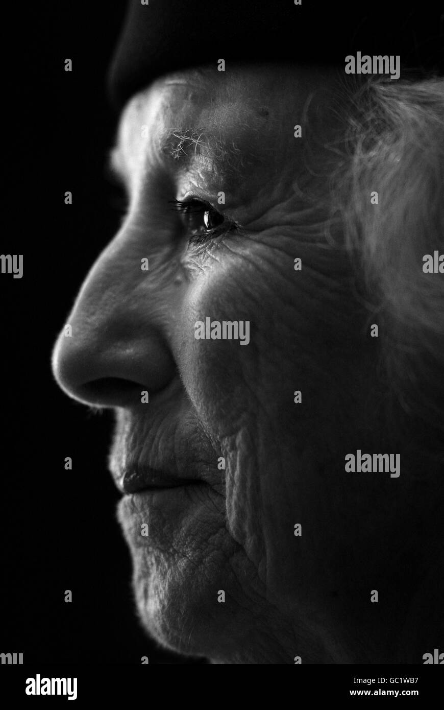 Dame vera Lynn, di 92 anni, partecipa al lancio del nuovo sito web 'The Times of My Life', presso il Cabinet War Rooms di Westminster, nel centro di Londra. Foto Stock