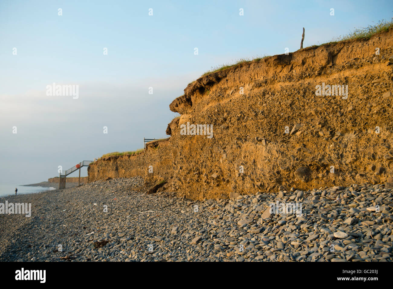 Erosione costiera lungo la morbida basse scogliere lungo il Cardigan Bay litorale a Llanon, sulla costa occidentale del Galles Ceredigion REGNO UNITO Foto Stock