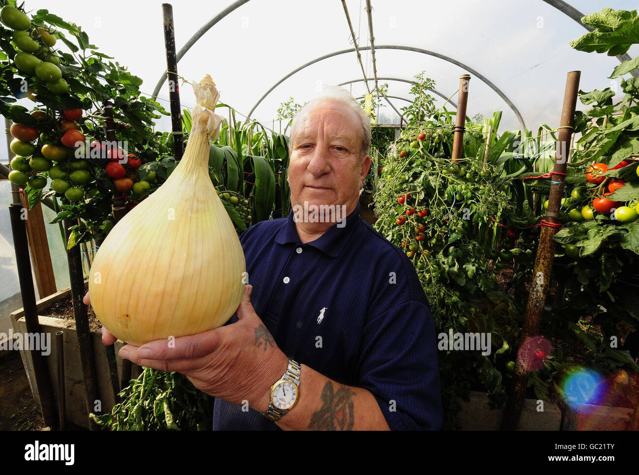 Barry Micklethwaite di Barnsley con una delle verdure che è stato vietato di mostrare ad un concorso di coltivazione di verdure. Foto Stock