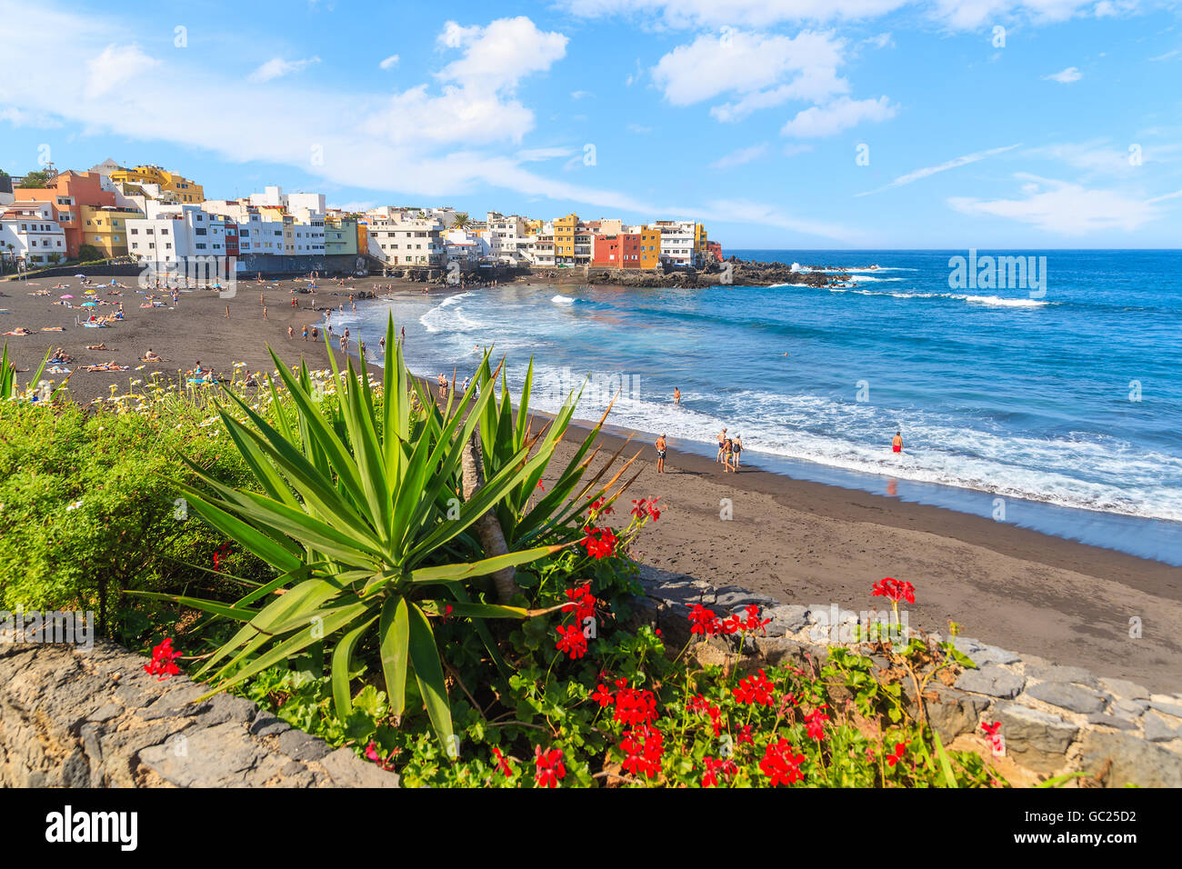 Il verde delle piante tropicali sulla spiaggia in Puerto de la Cruz con vista della Punta Brava village, Tenerife, Isole Canarie, Spagna Foto Stock