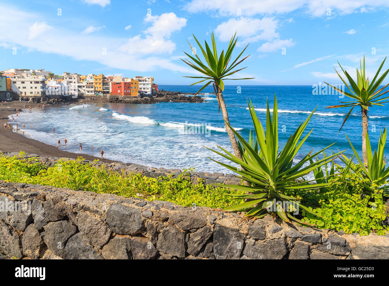 Il verde delle piante tropicali sulla spiaggia in Puerto de la Cruz con vista della Punta Brava village, Tenerife, Isole Canarie, Spagna Foto Stock